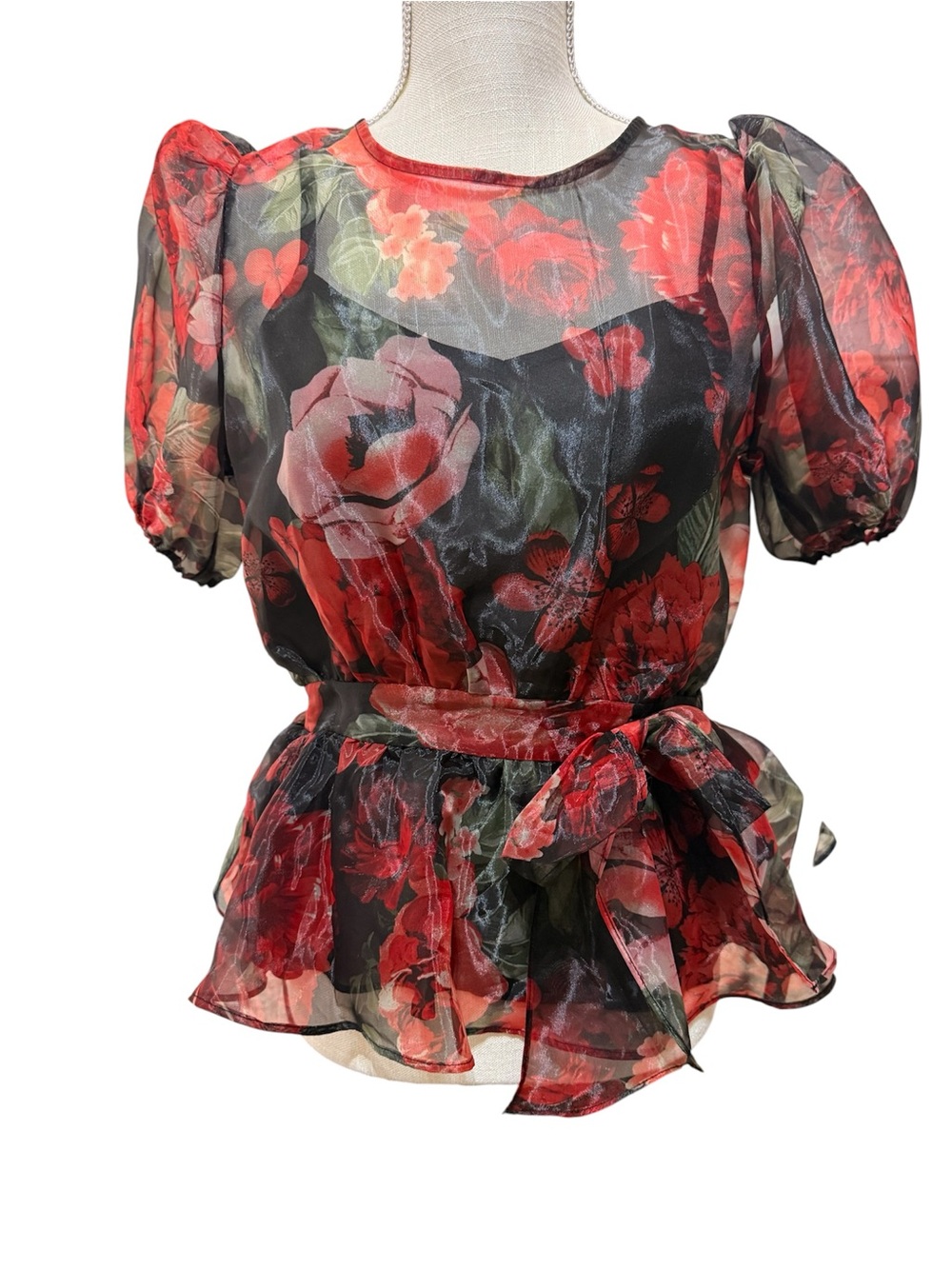 Blashe Sheer Floral Organza Puff Sleeve Blouse. Size S